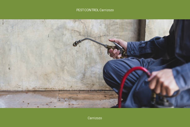 PEST CONTROL Carrizozo